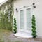 5ft. UV-Resistant Boxwood Spiral Topiary Artificial Tree in Decorative Planter